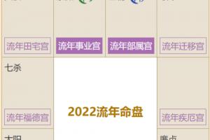 2024年紫微流年命盘