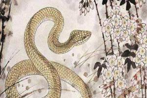 【风水常识】生肖属蛇农历十月的运程解析