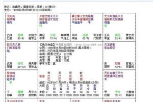 大师指点流年紫微斗数命盘