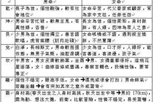 紫微斗数教程宫位与宫位的关系