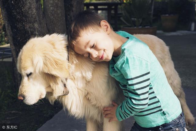 宠物因为对人比较依赖,尤其是温顺的小猫和小狗,对改善自闭症孩子的