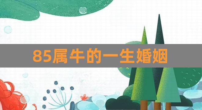 85属牛的一生婚姻(1997年属牛姻缘在哪年)