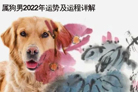 属狗男2023年运势及运程详解 2023年属狗人的全年运势男性_2023年生肖
