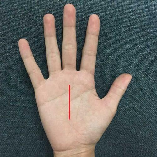 命运线从手掌下方或者中部通向中指【离宫】的竖线,可以代表一个人的