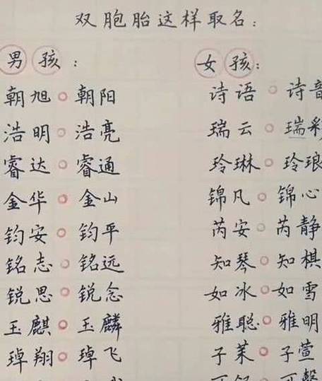 双胞胎男孩起名 双胞胎男孩名字_双胞胎男孩起名_双胞胎男孩起名逸字