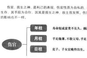 八字预测伤官格的富贵条件是什么