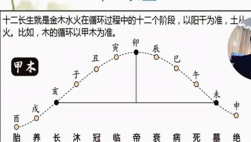 08 十二长生及应用!郭子谊讲解四柱八字命理自学算命基础入门教程