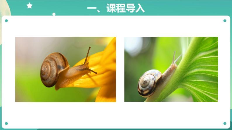 mp4视频【科学博览】田螺.mp4视频【知识解析】蜗牛的进食.