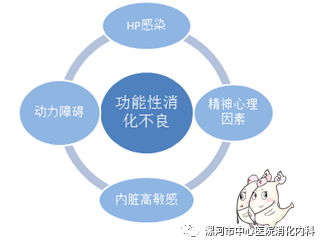 走进功能性消化不良