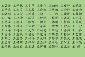 好的谐音名字大全_王姓名字大全男孩_王姓宝宝名字大全 - 华夏起名网