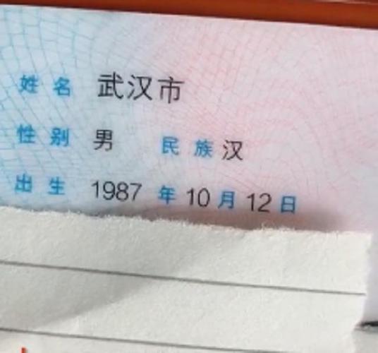 武姓爸爸晒身份证因名字叫武汉市走红网友儿子名字更绝