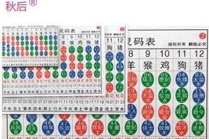2024年十二生肖波色卡六合彩五行属性对照表六合宝典排码灵码卡.
